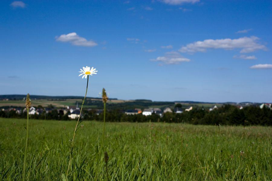 Studiohaus Haus Roswitha Geisfeld  Zewnętrze zdjęcie
