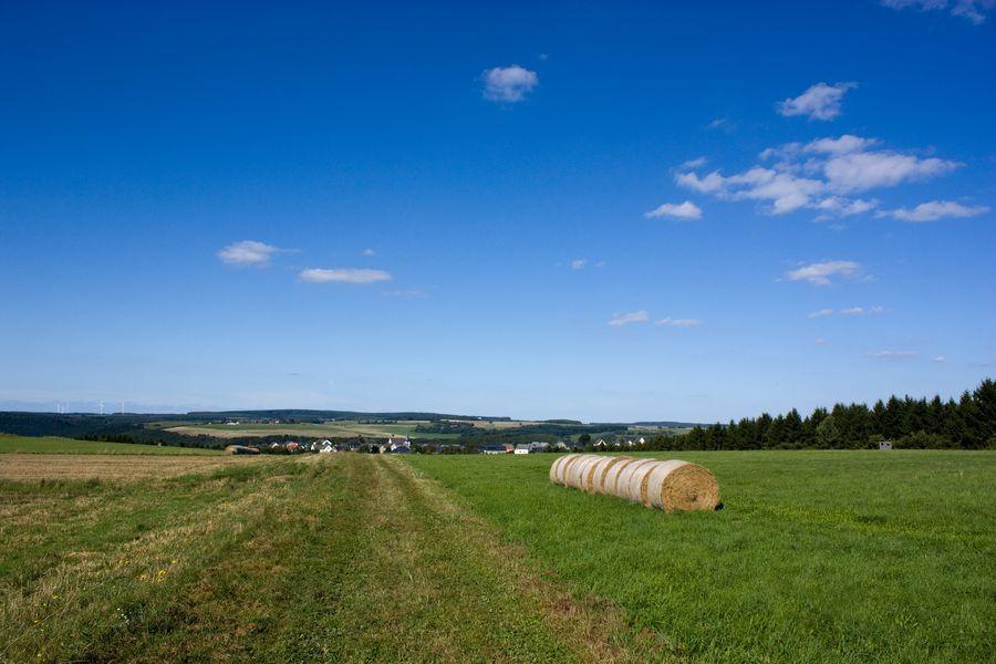 Studiohaus Haus Roswitha Geisfeld  Zewnętrze zdjęcie